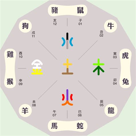 珍字五行|珍字的五行属性是什么